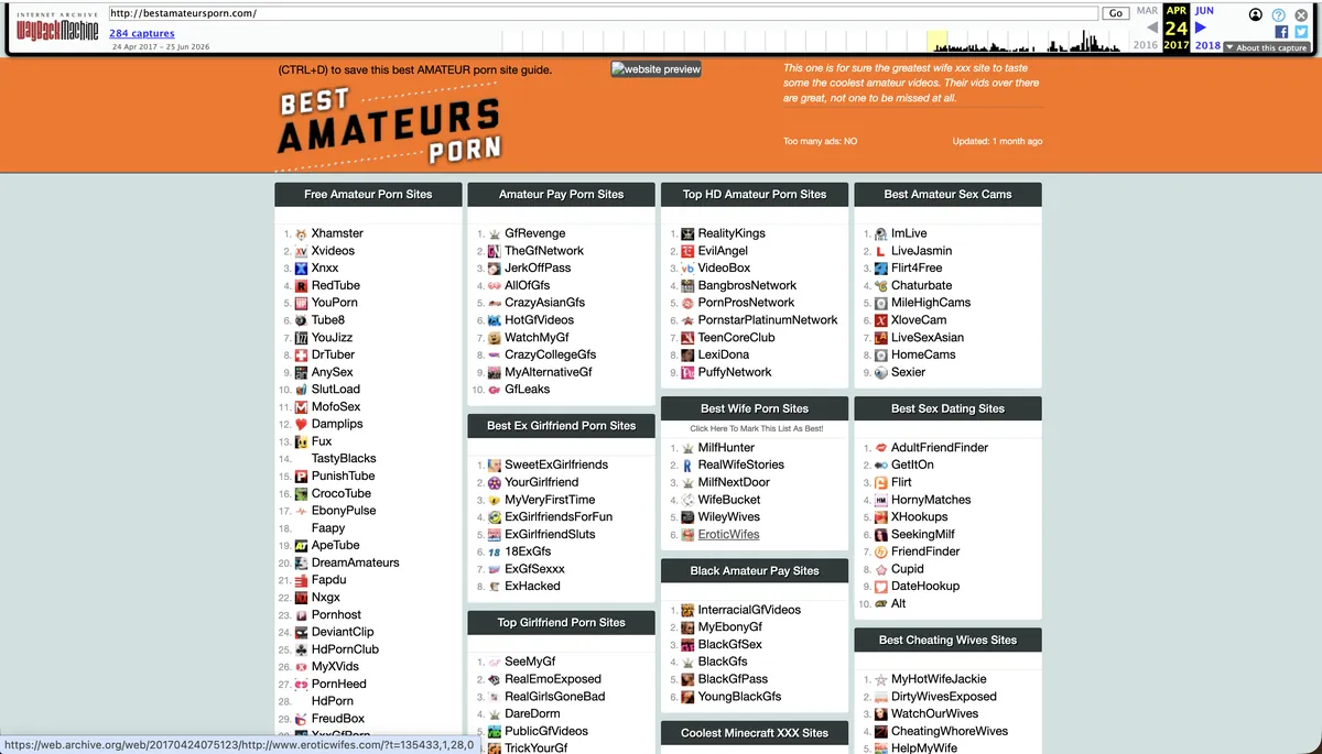BestAmateursPorn first snapshot on the Wayback Machine, 2017